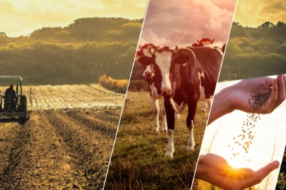 Çiftçiye 1,1 milyar TL'lik destek ödemesi başladı