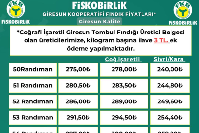 FINDIKTA DÜŞÜŞE YETİŞİLEMİYOR...