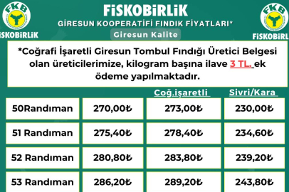 FINDIKTA ÇÖKÜŞ!