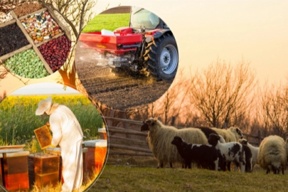 2 milyar TL'lik tarımsal destek hesaplarda