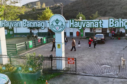 HAYVAN BARINAĞI’NDAN ÖRNEK ÇALIŞMALAR