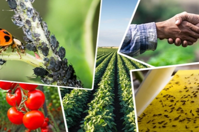 Tarımsal üretimi destekleyecek önemli düzenleme... Tarımsal destek ödemelerine ayar