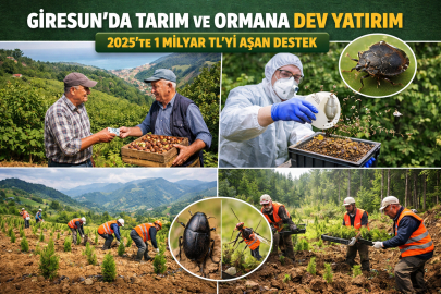 GİRESUN’DA TARIM VE ORMANA  1 MİLYAR TL’Yİ AŞAN DESTEK
