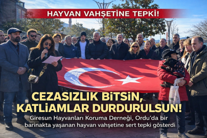 “CEZASIZLIK BİTSİN, KATLİAMLAR DURDURULSUN”