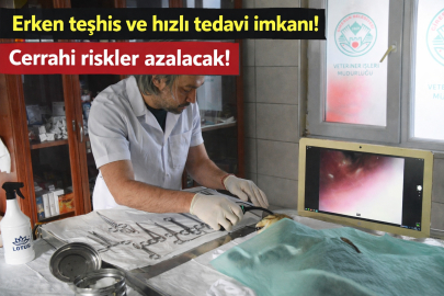 GİRESUN BELEDİYESİ’NDEN SOKAK HAYVANLARI İÇİN MODERN SAĞLIK YATIRIMI