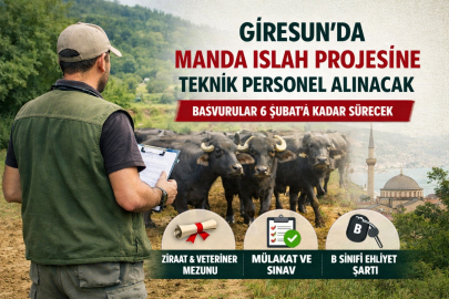 GİRESUN’DA MANDA ISLAH PROJESİNE TEKNİK PERSONEL ALINACAK