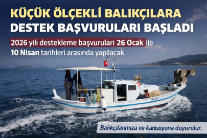KÜÇÜK ÖLÇEKLİ BALIKÇILARA DESTEK BAŞVURULARI BAŞLADI