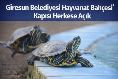 GİRESUN BELEDİYESİ HAYVANAT BAHÇESİ’NİN KAPISI HERKESE AÇIK