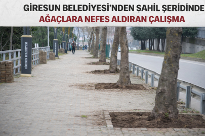 SAHİL ŞERİDİNDE AĞAÇLARA NEFES ALDIRAN ÇALIŞMA