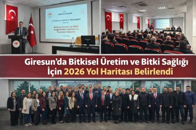 GİRESUN’DA BİTKİSEL ÜRETİM VE BİTKİ SAĞLIĞI İÇİN 2026 YOL HARİTASI BELİRLENDİ