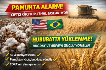 PAMUKTA ALARM: CIFTCI KACIYOR, ITHALAT BASKISI ARTIYOR