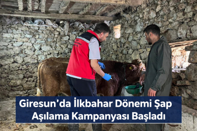 GİRESUN’DA İLKBAHAR DÖNEMİ ŞAP AŞILAMA KAMPANYASI BAŞLADI