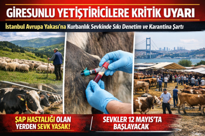 GİRESUNLU YETİŞTİRİCİLERE KRİTİK UYARI