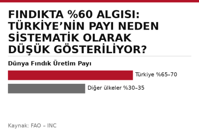 FINDIKTA %60 ALGISI: TÜRKİYE’NİN PAYI NEDEN SİSTEMATİK OLARAK DÜŞÜK GÖSTERİLİYOR?