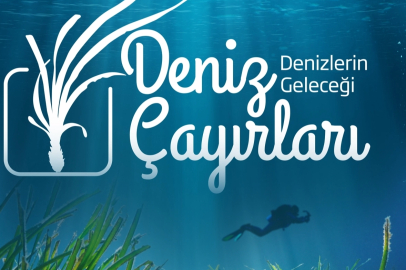 DENİZLERİN AKCİĞERLERİ TÜKENİYOR: HER 30 DAKİKADA BİR FUTBOL SAHASI YOK OLUYOR