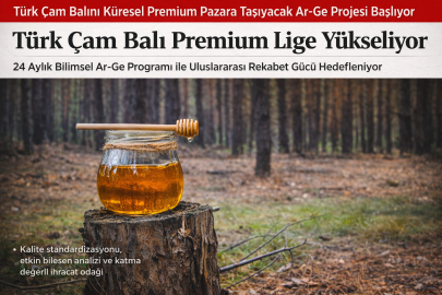 Türk Çam Balı Premium Lige Yükseliyor: 24 Aylık Ar-Ge Hamlesi Başlıyor