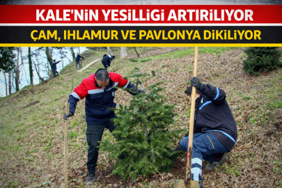 KALE’NİN YEŞİLLİĞİ ARTIRILIYOR: ÇAM, IHLAMUR VE PAVLONYA DİKİLİYOR