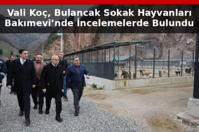 VALİ KOÇ, BULANCAK SOKAK HAYVANLARI BAKIMEVİ’NDE İNCELEMELERDE BULUNDU