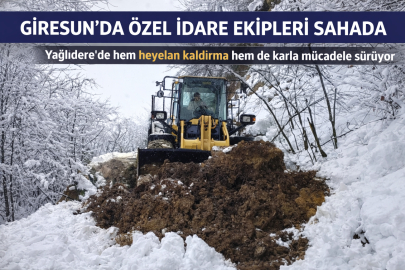 GİRESUN’DA ÖZEL İDARE EKİPLERİ SAHADA