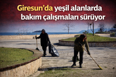 GİRESUN’DA YEŞİL ALANLARDA BAKIM ÇALIŞMALARI SÜRÜYOR