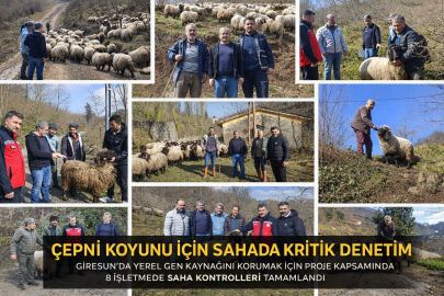 ÇEPNİ KOYUNU İÇİN SAHADA KRİTİK DENETİM