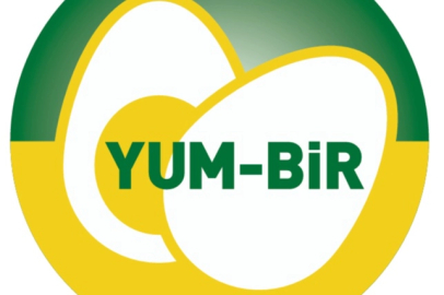 Yumurta Üretimi Rekor Seviyeye Ulaştı