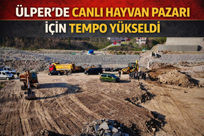 ÜLPER’DE CANLI HAYVAN PAZARI İÇİN TEMPO YÜKSELDİ