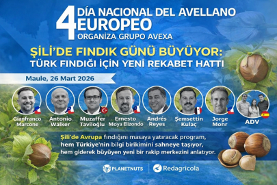 ŞİLİ’DE FINDIK GÜNÜ BÜYÜYOR: TÜRK FINDIĞI İÇİN YENİ REKABET HATTI