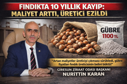 FINDIKTA 10 YILLIK ERİME: MALİYET PATLADI, ÜRETİCİ EZİLDİ
