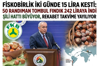 FİSKOBİRLİK İKİ GÜNDE 15 LİRA KESTİ: 50 RANDIMAN TOMBUL FINDIK 242 LİRAYA İNDİ