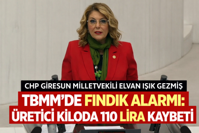 TBMM’DE FINDIK ALARMI: ÜRETİCİ KİLODA 110 LİRA KAYBETTİ