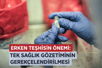 ERKEN TEŞHİSİN ÖNEMİ: TEK SAĞLIK GÖZETİMİNİN GEREKÇELENDİRİLMESİ