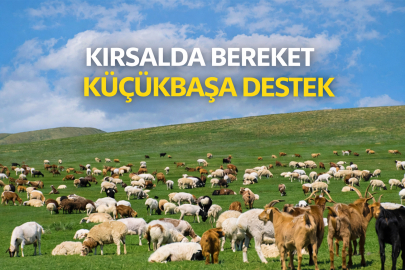 KIRSALDA BEREKET İÇİN BAŞVURULAR BAŞLADI