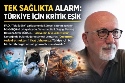 TEK SAĞLIKTA ALARM: TÜRKİYE İÇİN KRİTİK EŞİK