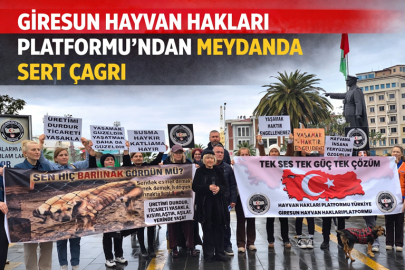 GİRESUN HAYVAN HAKLARI PLATFORMU’NDAN MEYDANDA SERT ÇAĞRI