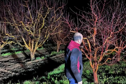 Zirai don alarmı! Ekipler sahada