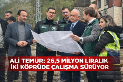 ALİ TEMÜR: 26,5 MİLYON LİRALIK İKİ KÖPRÜDE ÇALIŞMA SÜRÜYOR