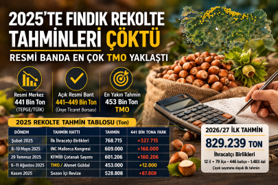 2025’TE FINDIK REKOLTE TAHMİNLERİ ÇÖKTÜ: RESMİ BANDA EN ÇOK TMO YAKLAŞTI