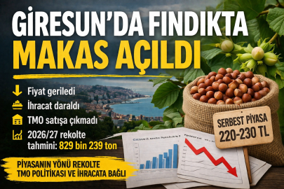 GİRESUN’DA FINDIKTA MAKAS AÇILDI: FİYAT GERİLEDİ, İHRACAT DARALDI, TMO KABUKLU SATIŞ AÇMADI