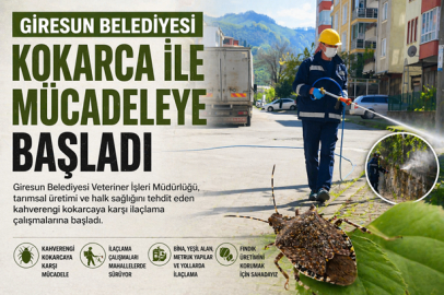 GİRESUN BELEDİYESİ KOKARCA İLE MÜCADELEYE BAŞLADI