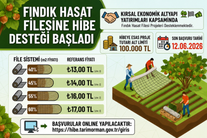 FINDIK HASAT FİLESİNE HİBE DESTEĞİ BAŞLADI