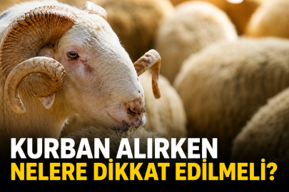 KURBAN ALIRKEN NELERE DİKKAT EDİLMELİ?