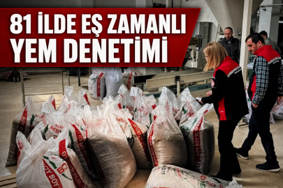 81 İLDE EŞ ZAMANLI YEM DENETİMİ