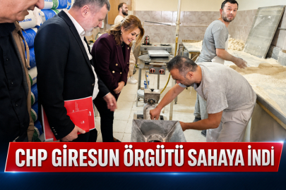 CHP GİRESUN  ÖRGÜTÜ SAHAYA İNDİ