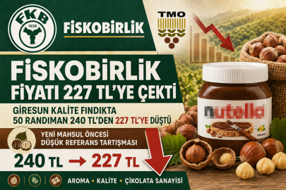 FİSKOBİRLİK FINDIKTA FİYATI 227 LİRAYA ÇEKTİ