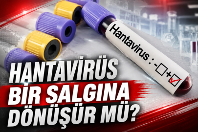 HANTAVİRÜS BİR SALGINA DÖNÜŞÜR MÜ?