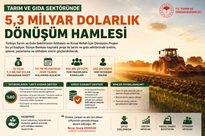 TARIM VE GIDA SEKTÖRÜNDE 5,3 MİLYAR DOLARLIK DÖNÜŞÜM HAMLESİ