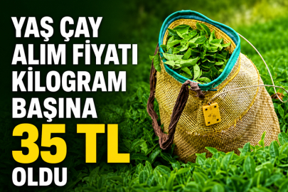 Yaş çay alım fiyatı kilogram başına 35 TL oldu