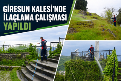 GİRESUN KALESİ’NDE İLAÇLAMA ÇALIŞMASI YAPILDI
