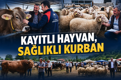 KAYITLI HAYVAN, SAĞLIKLI KURBAN